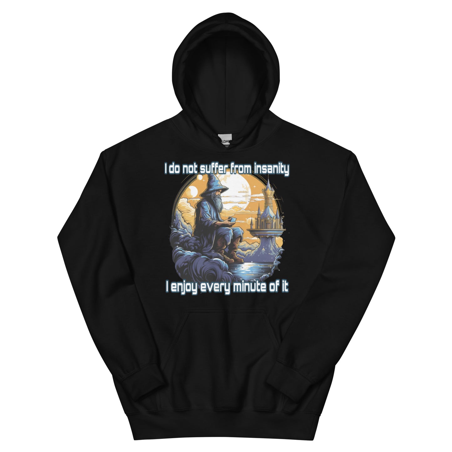 I do not suffer from insanity I enjoy every minute of it Hoodie