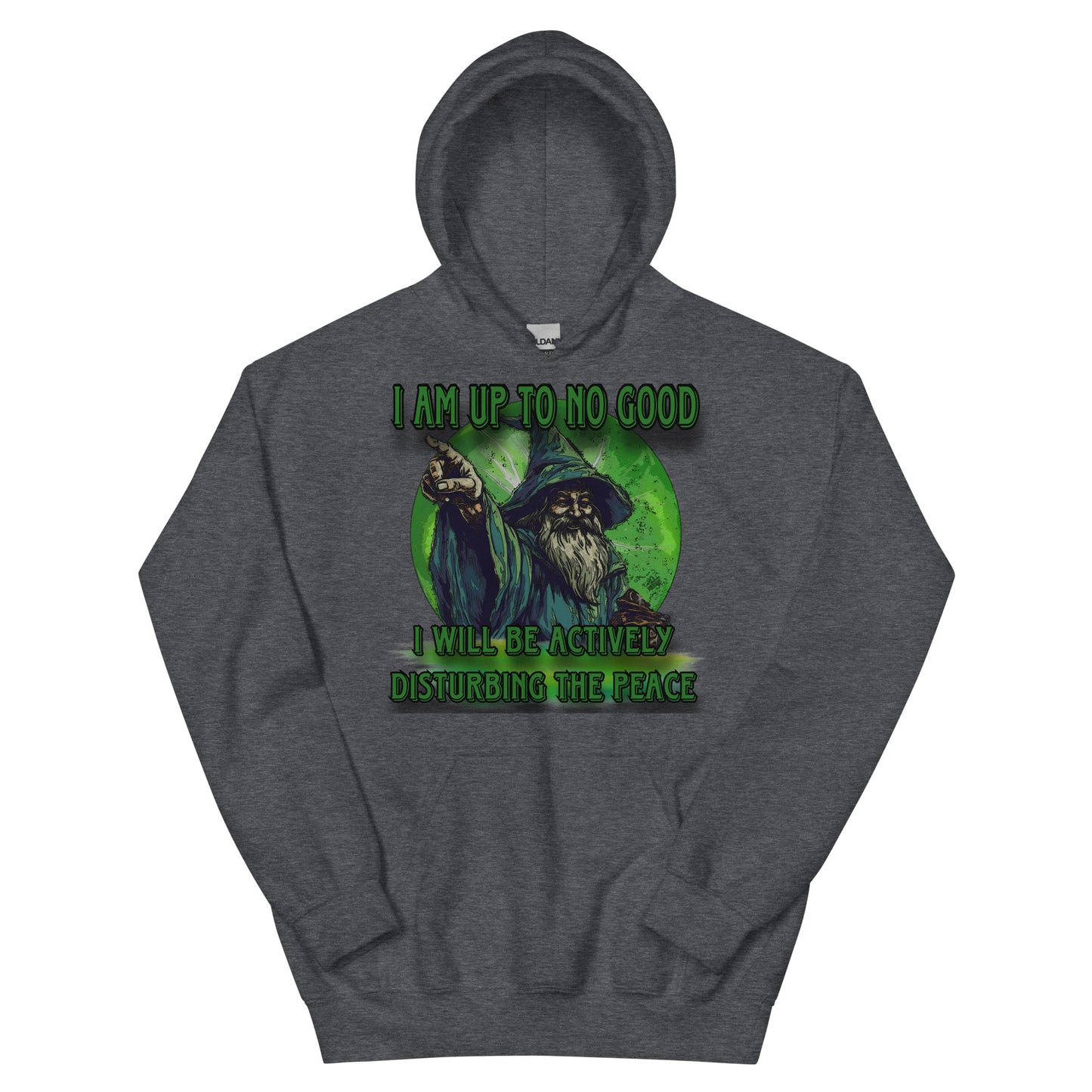 I am up to no good hoodie