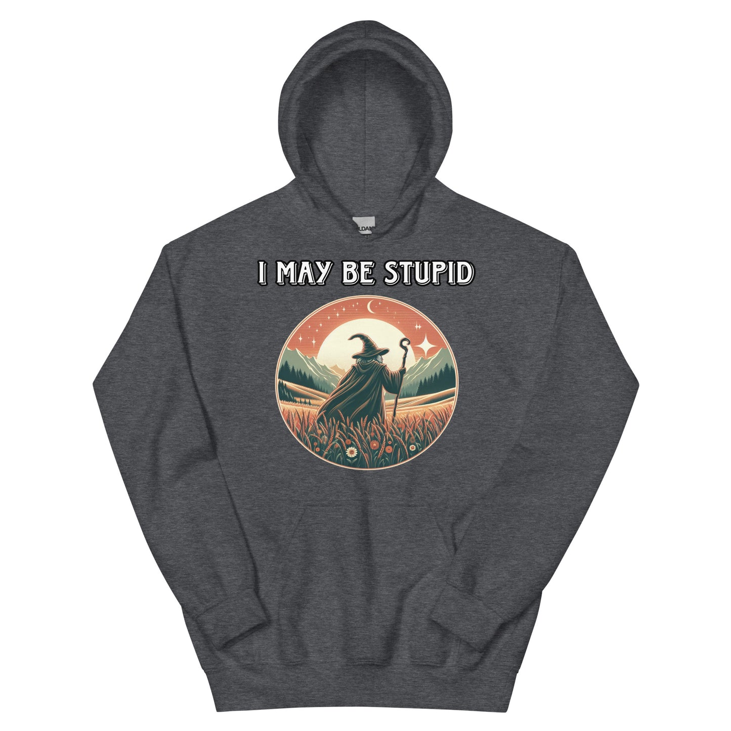 I may be stupid hoodie