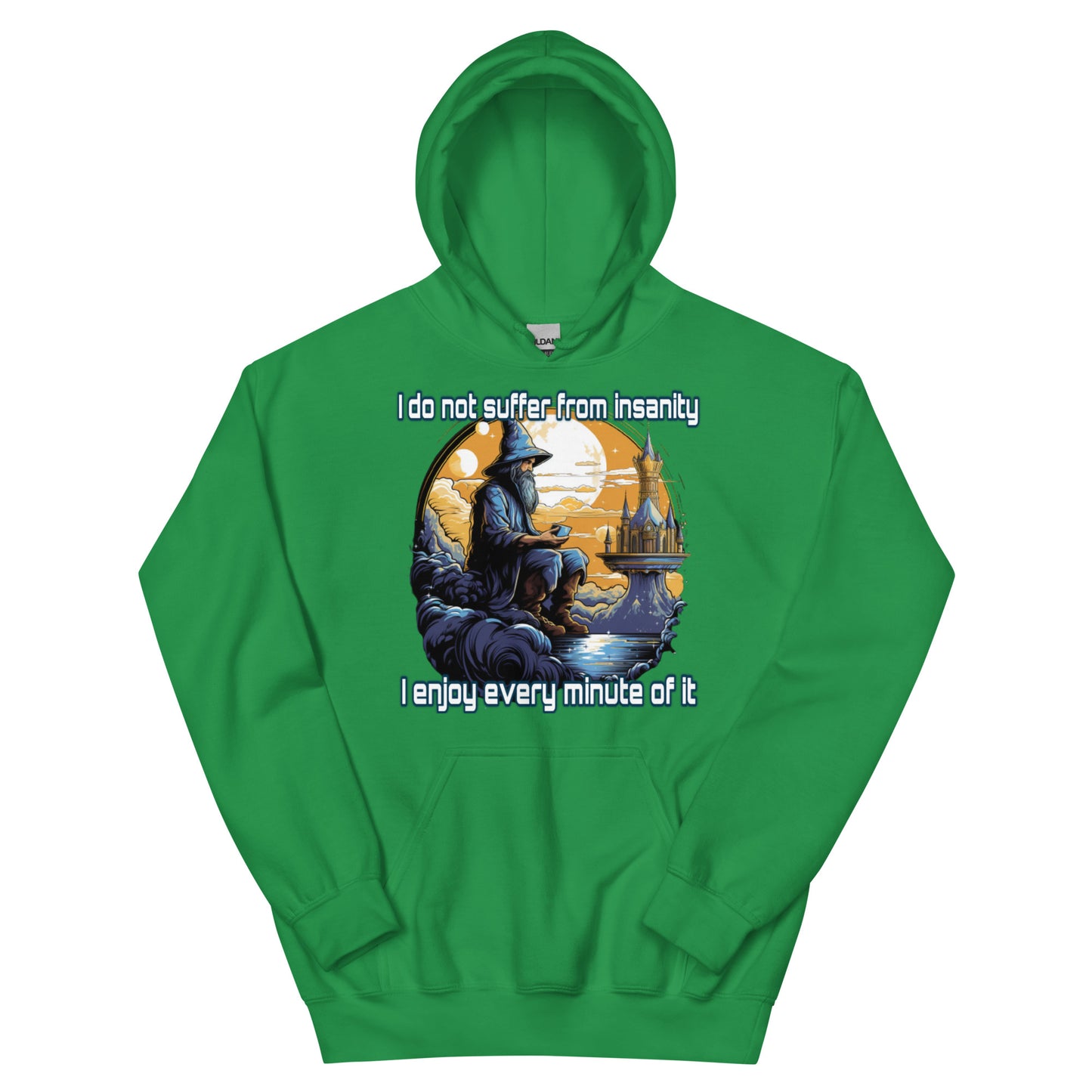 I do not suffer from insanity I enjoy every minute of it Hoodie