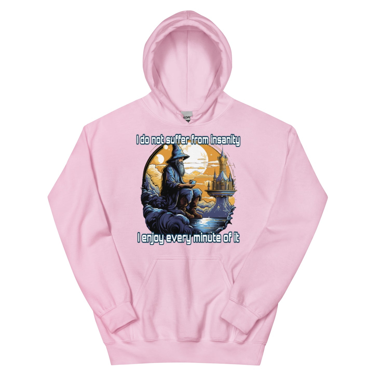 I do not suffer from insanity I enjoy every minute of it Hoodie