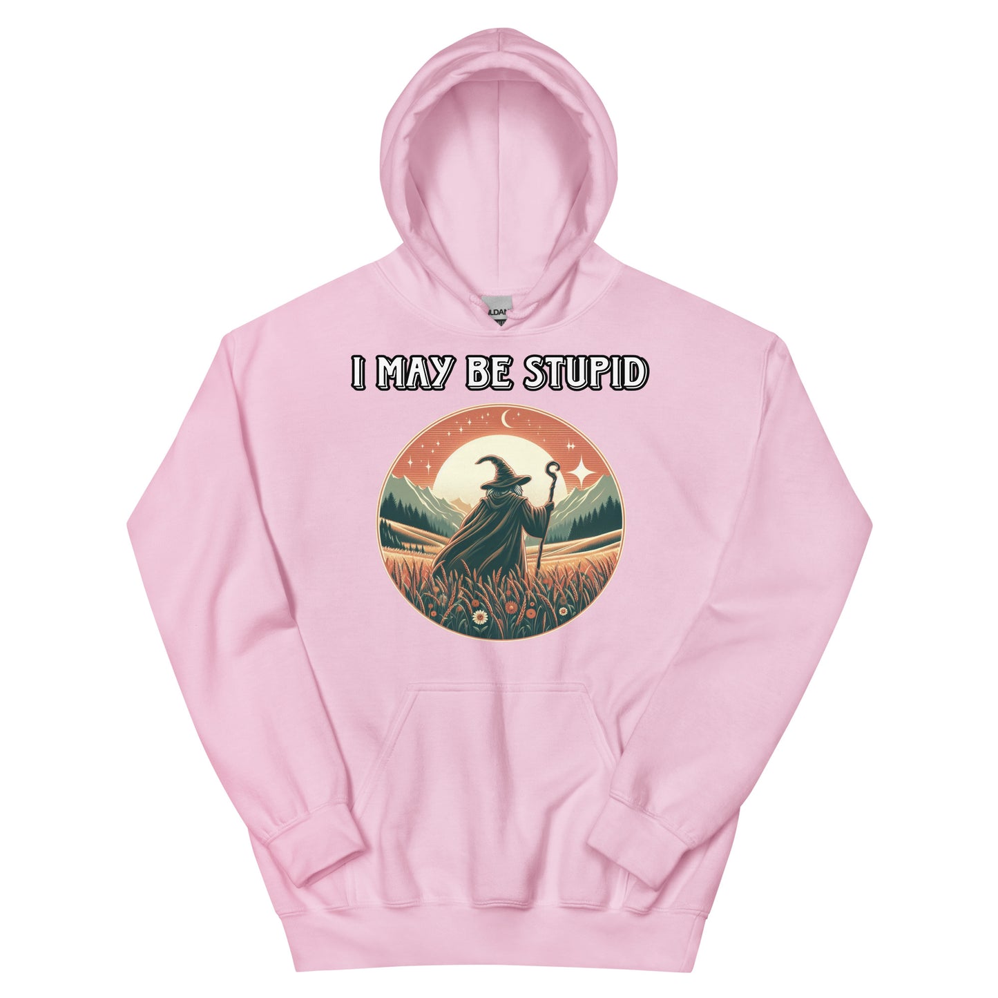 I may be stupid hoodie