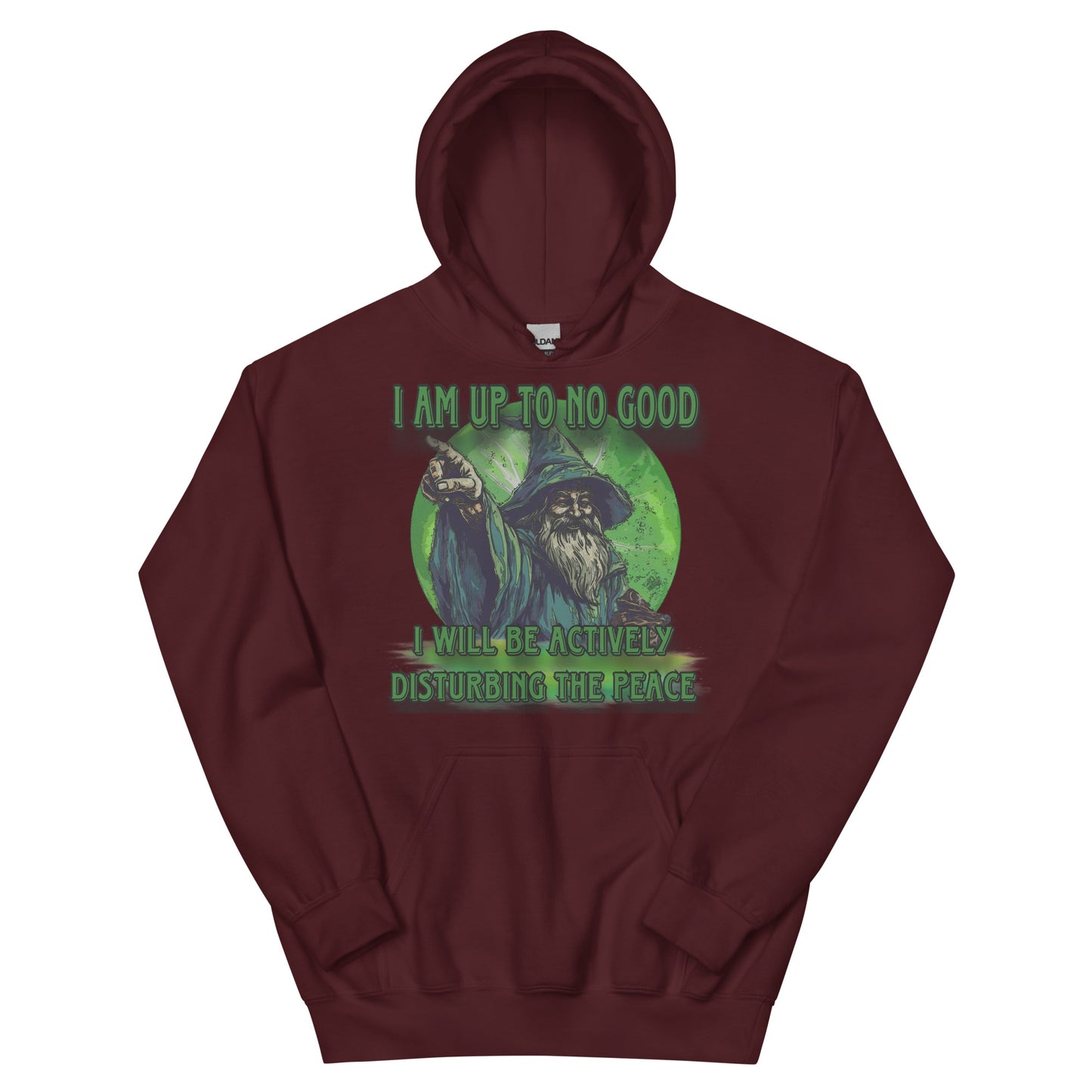 I am up to no good hoodie