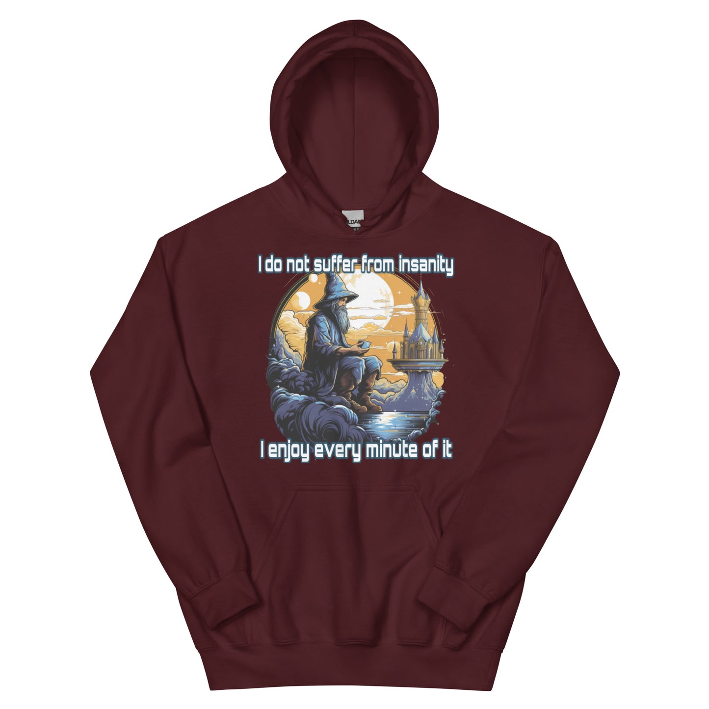 I do not suffer from insanity I enjoy every minute of it Hoodie