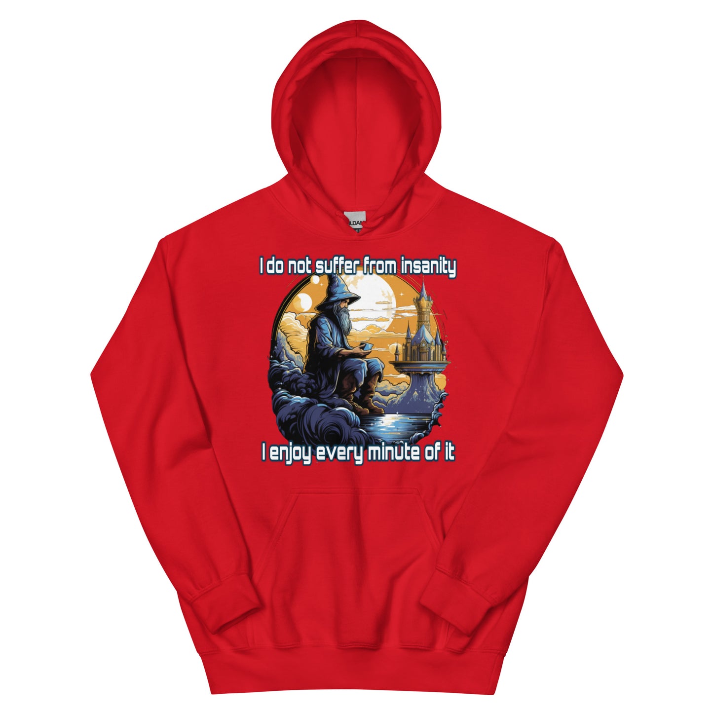 I do not suffer from insanity I enjoy every minute of it Hoodie