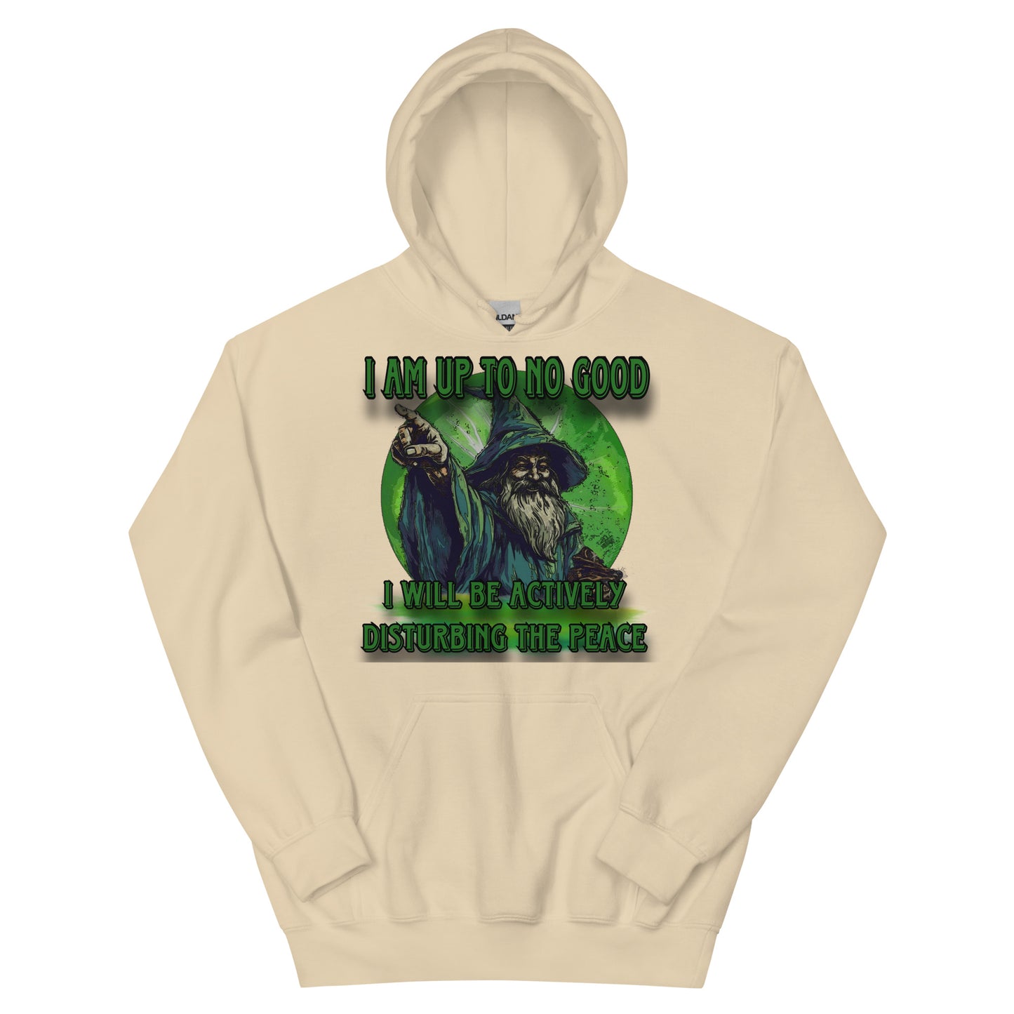 I am up to no good hoodie