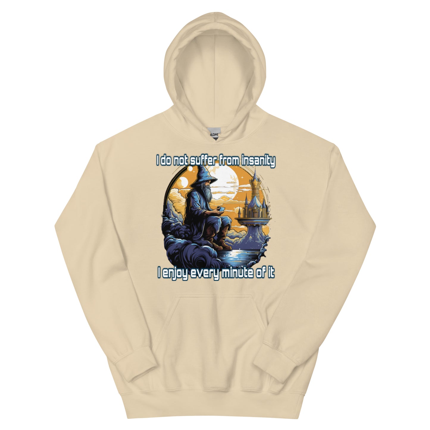 I do not suffer from insanity I enjoy every minute of it Hoodie