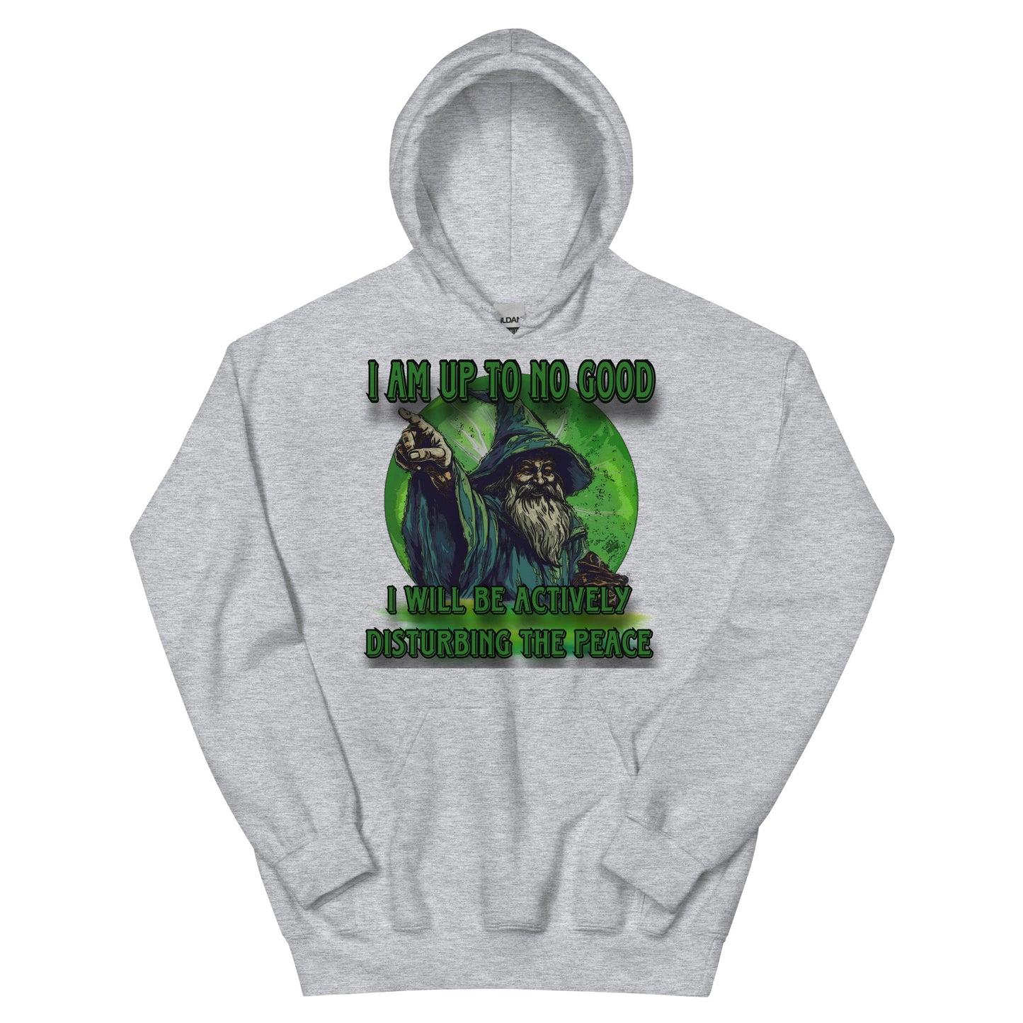 I am up to no good hoodie