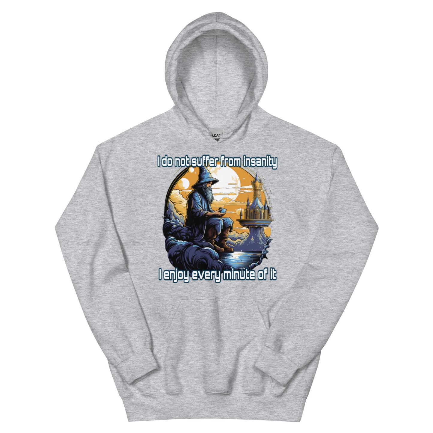 I do not suffer from insanity I enjoy every minute of it Hoodie