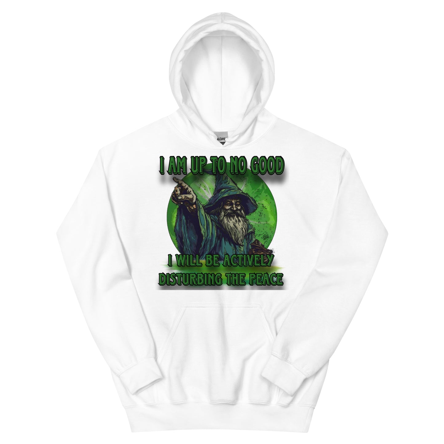 I am up to no good hoodie