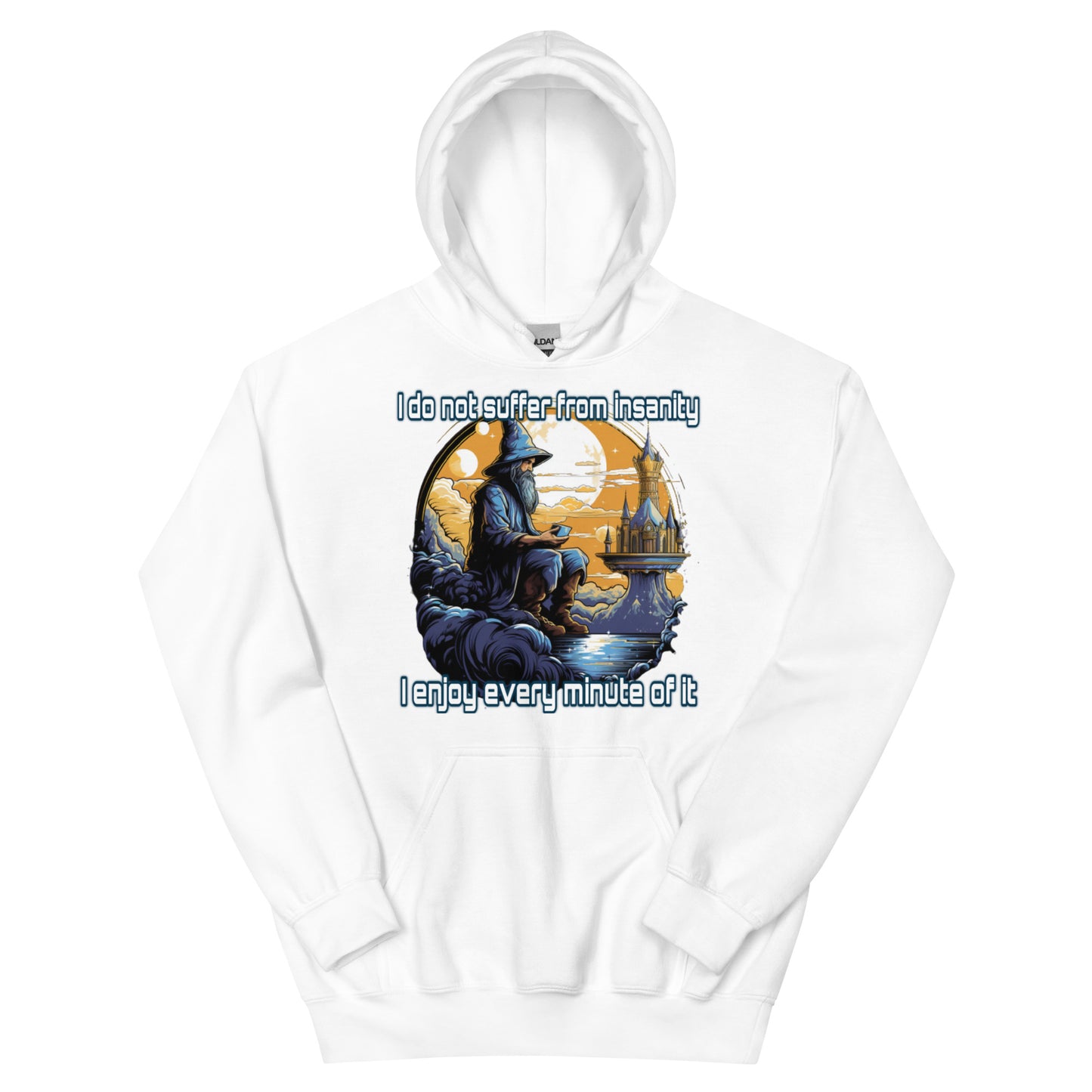 I do not suffer from insanity I enjoy every minute of it Hoodie